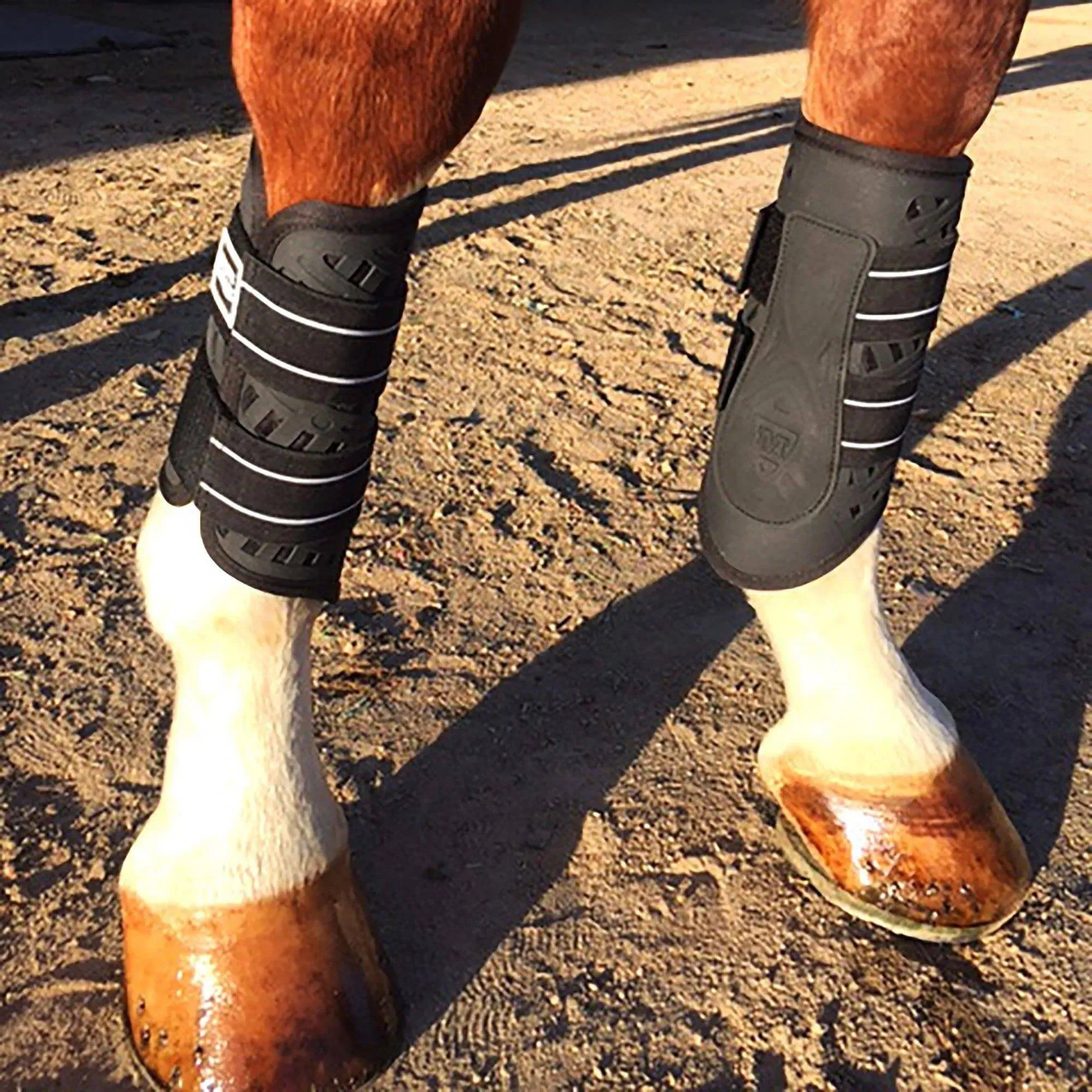 Majyk Equipe Dressage Sport Boots